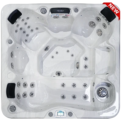 Avalon-X EC-849LX hot tubs for sale in Montgomery
